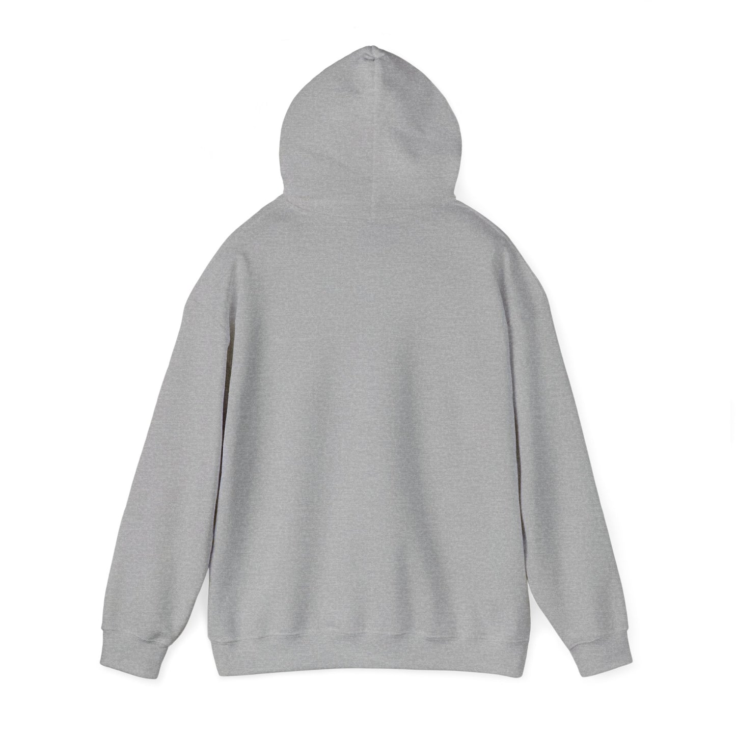 Another Set of Eyes Pickleball Hoodie.