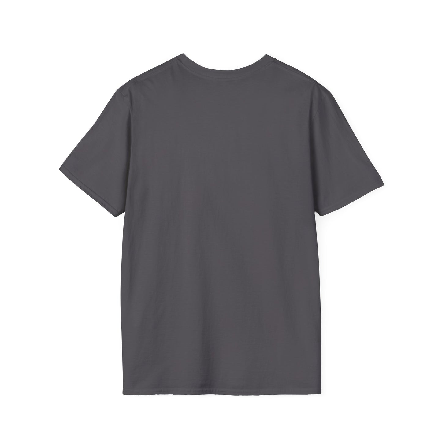 Pickle Ball Don't Lie. Pickleball Tee.
