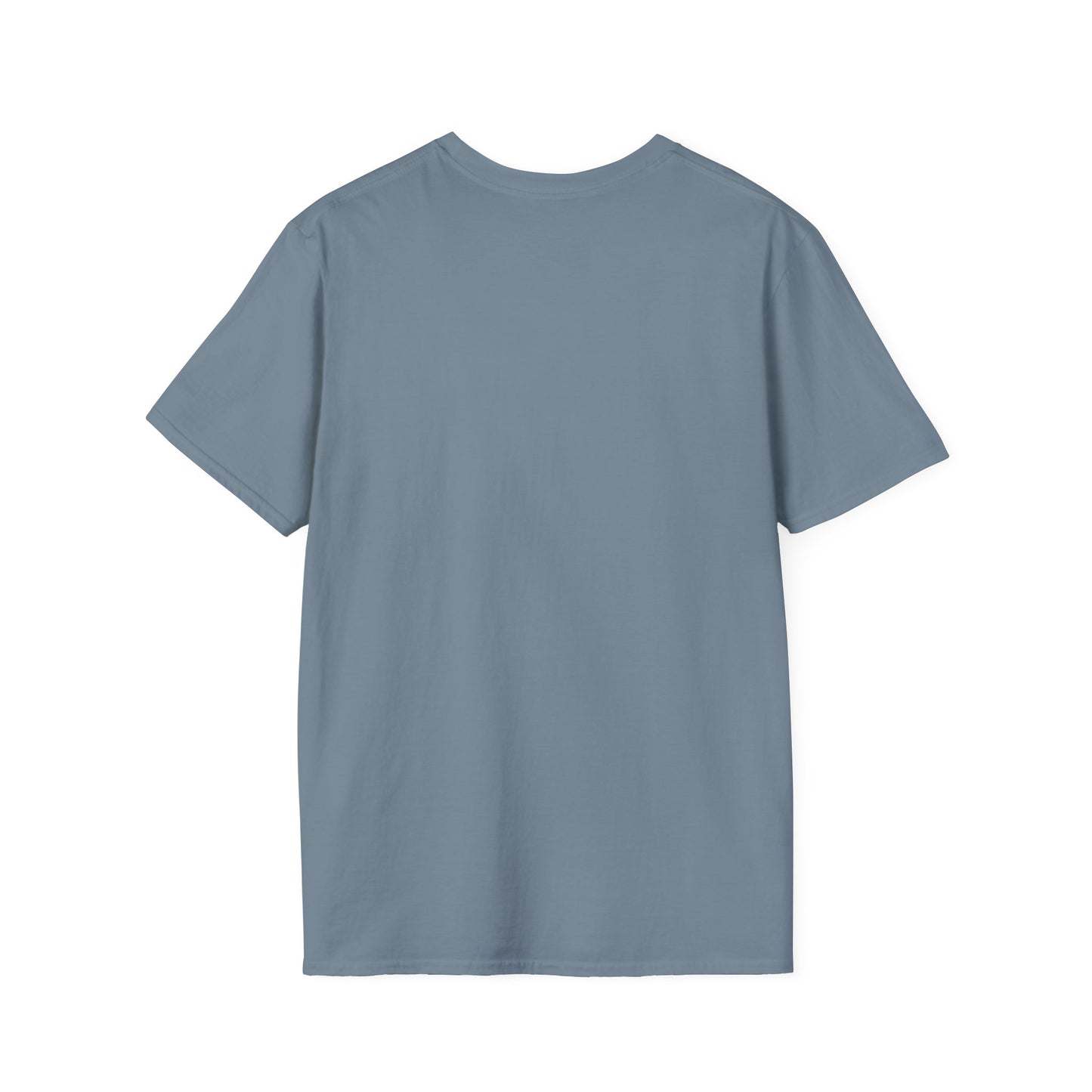 Pickleball Spoken Here. Pickleball Tee.