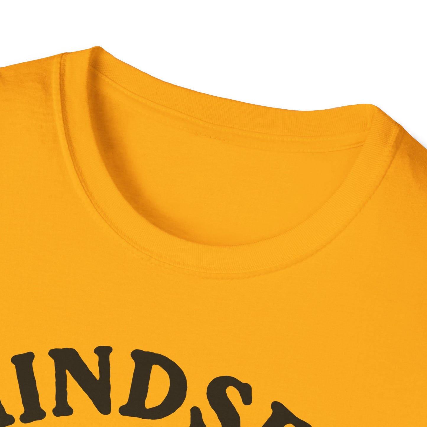 Mindset. The Fine Art Of. Pickleball Tee.