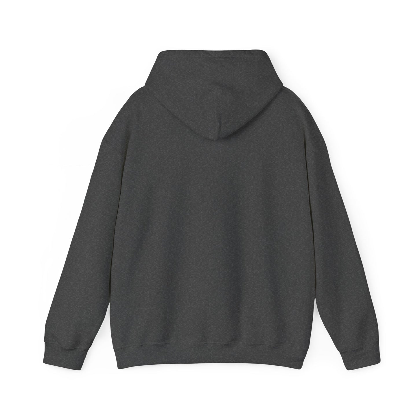 Another Set of Eyes Pickleball Hoodie.