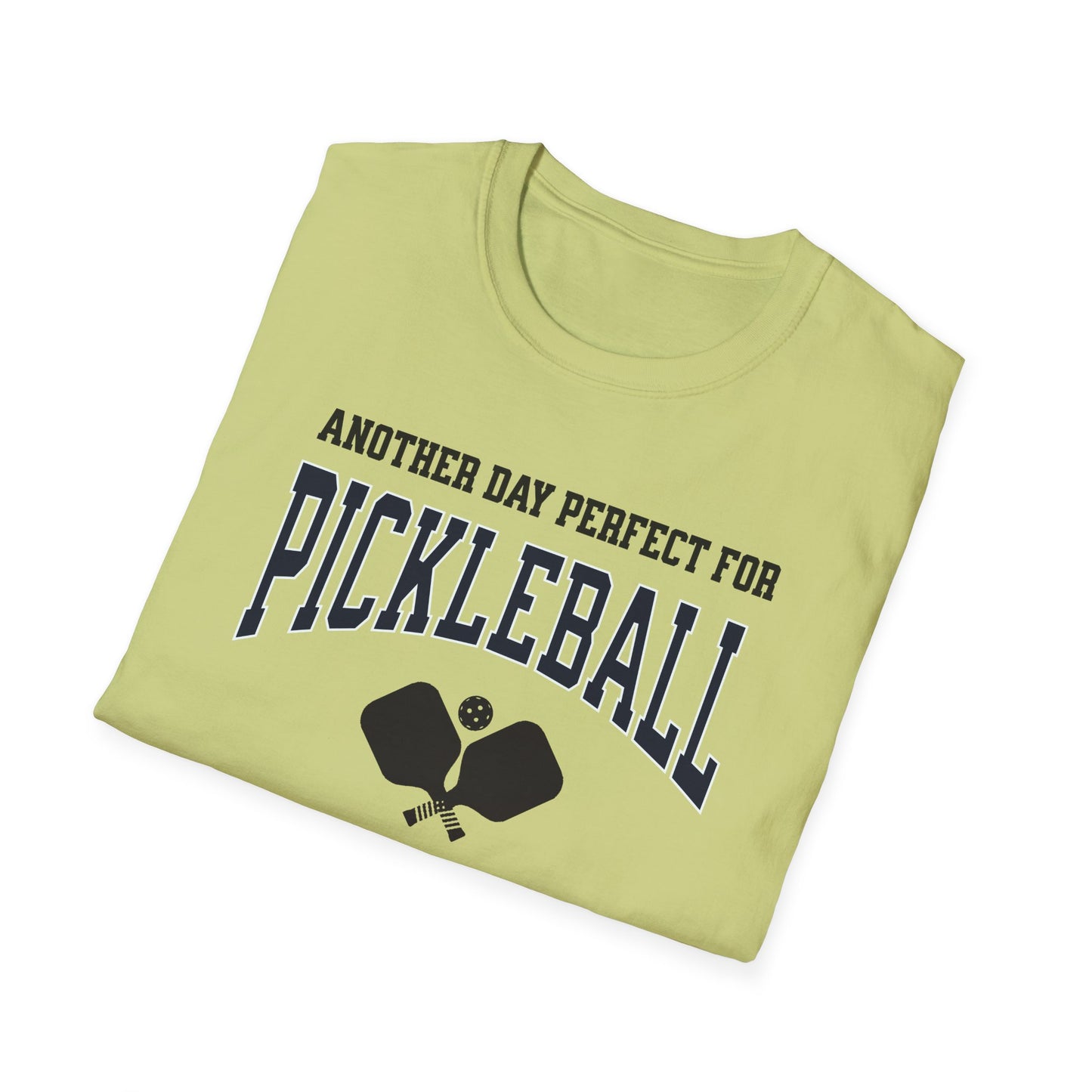 Another Day Perfect for Pickleball Ruined By Responsibilities.