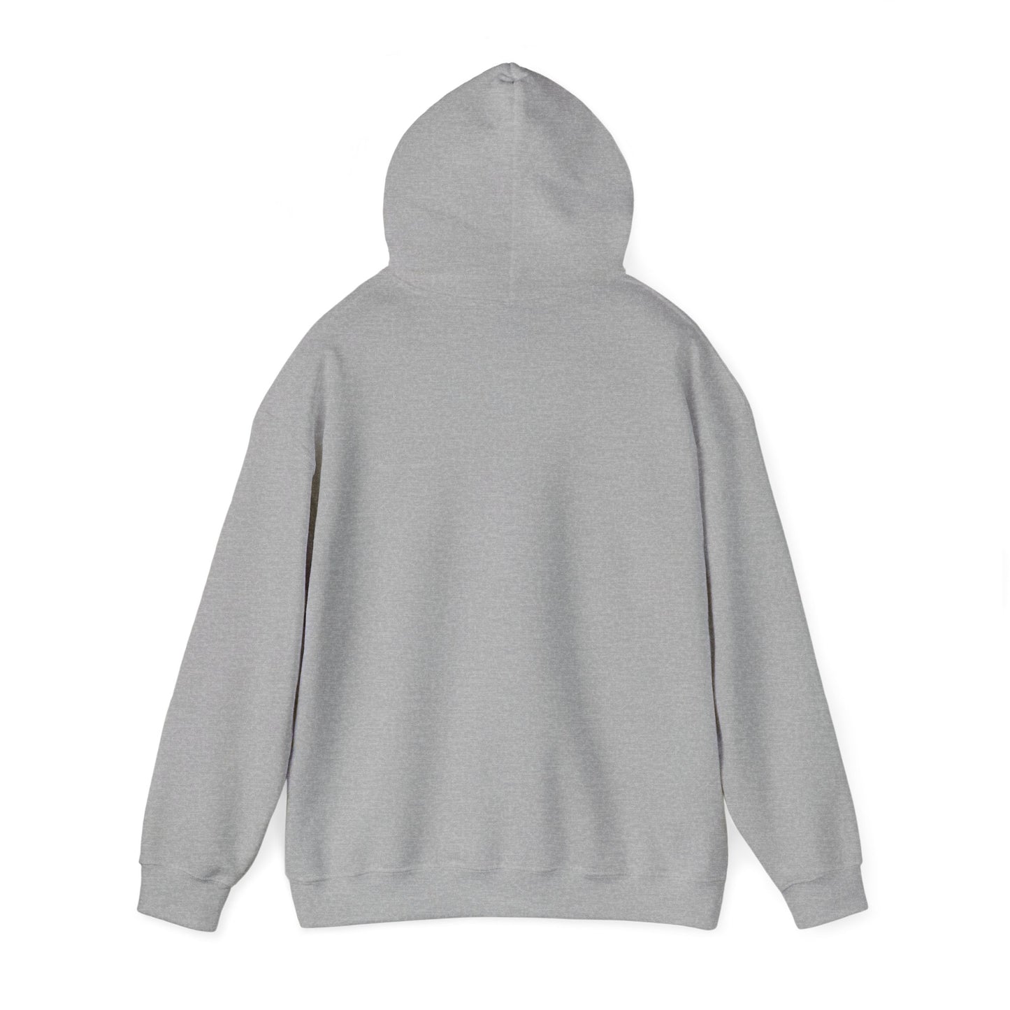 It's a perfect day. Pickleball Hoodie.