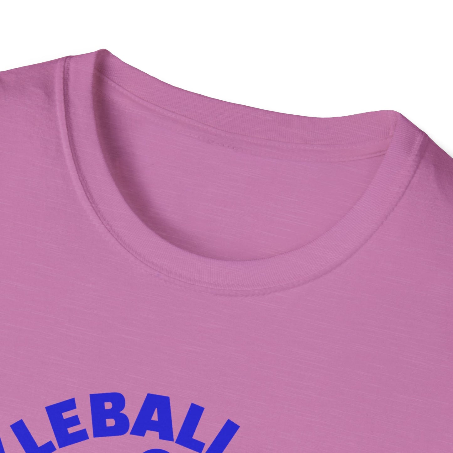 Pickleball Heals. Pickleball Tee.
