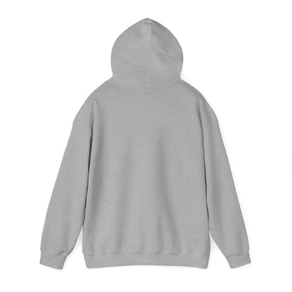 Another Set of Eyes Pickleball Hoodie.