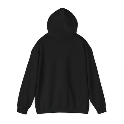 Woodstock. Three days of Pickleball and music. Unisex Heavy Blend™ Hooded Sweatshirt