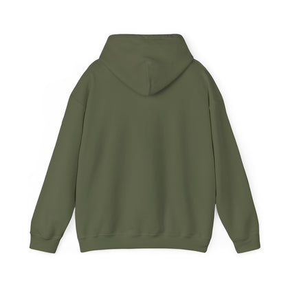 Another Set of Eyes Pickleball Hoodie.