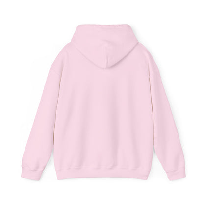Another Set of Eyes Pickleball Hoodie.