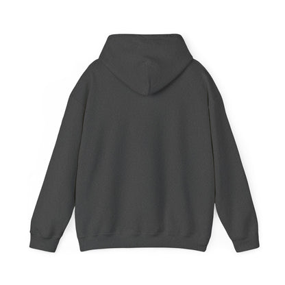 Another Set of Eyes Pickleball Hoodie.