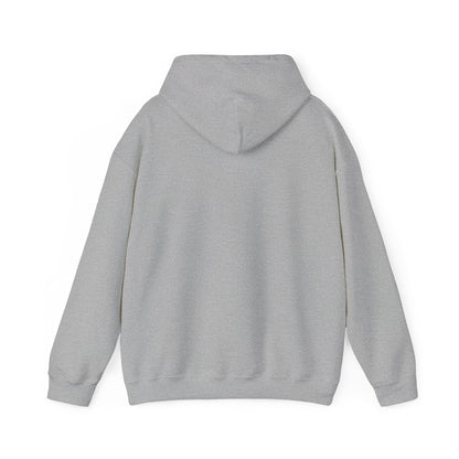 Another Set of Eyes Pickleball Hoodie.