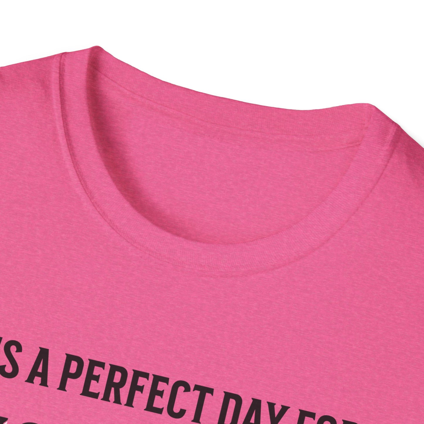 It's A Perfect Day For Pickleball. Unisex Softstyle T-Shirt