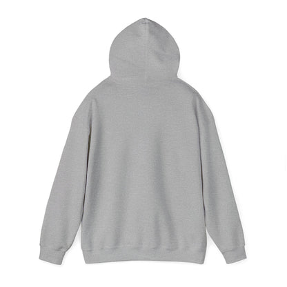 It's a perfect day. Pickleball Hoodie.