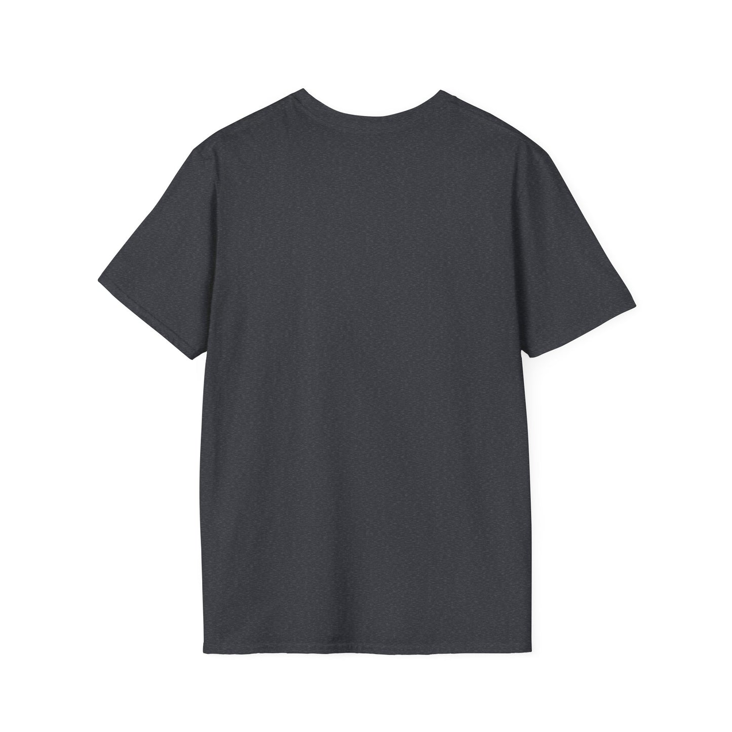 Duck Around And Find Out. Pickleball Tee.