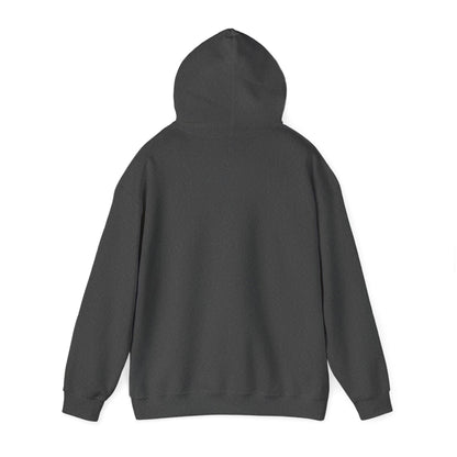 Another Set of Eyes Pickleball Hoodie.