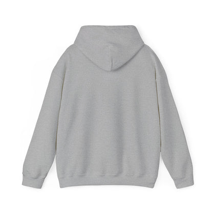 It's a perfect day. Pickleball Hoodie.